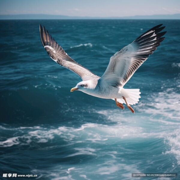 RO膜的起源与过滤精度